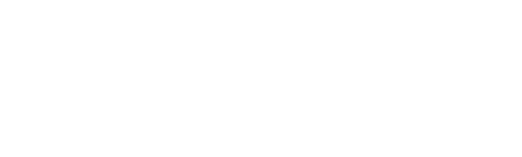 The Outlaws