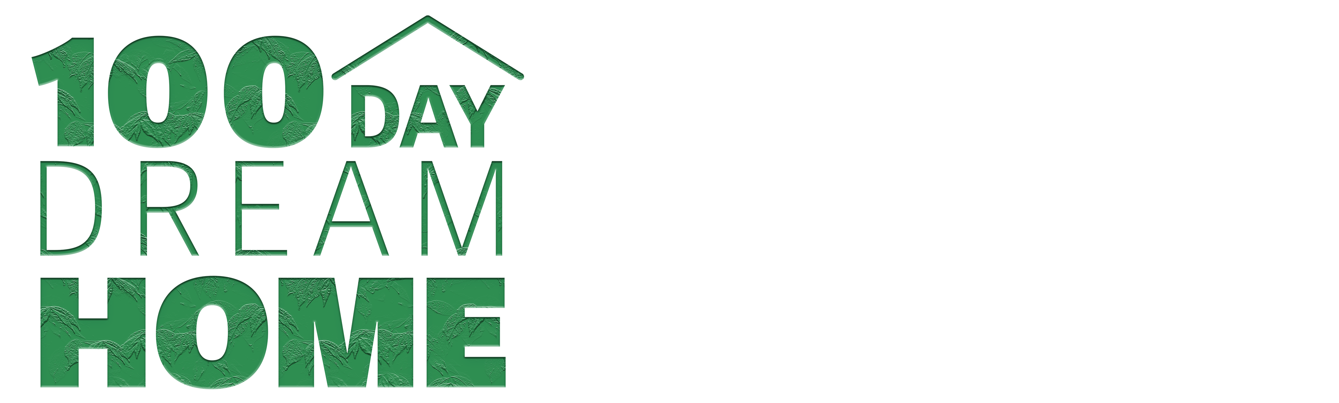 100 Day Dream Home