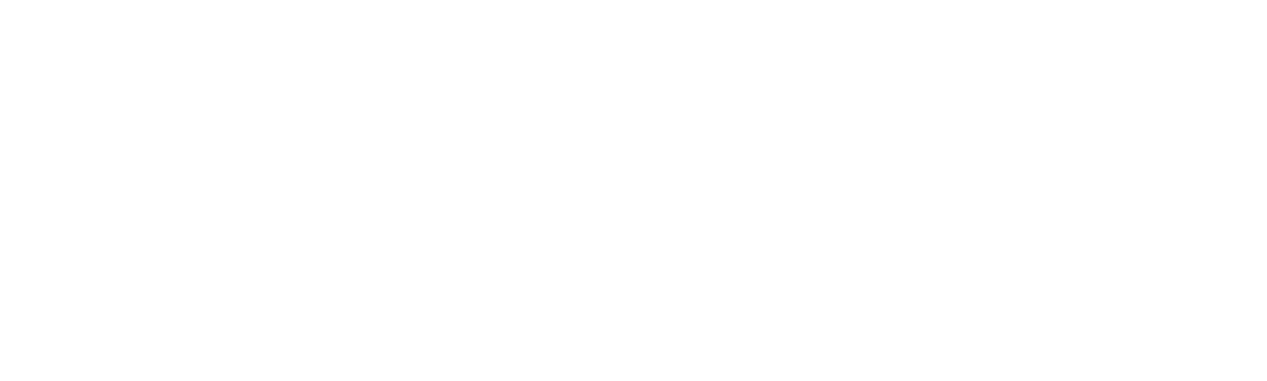 魔戒三部曲：王者再臨導演加長版