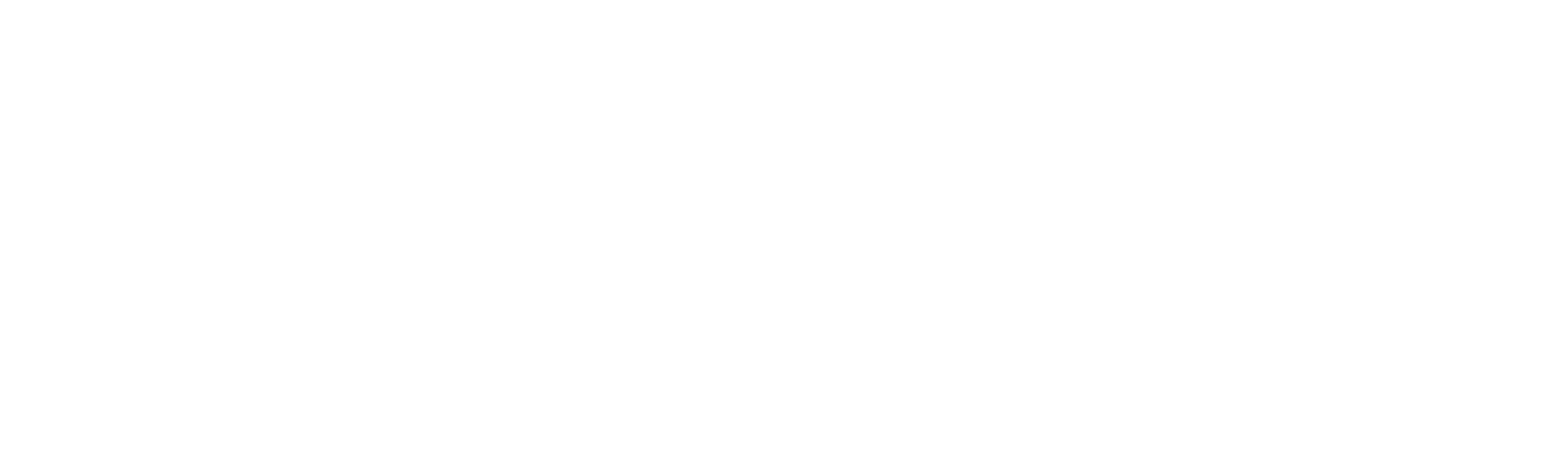魔戒三部曲：王者再臨導演加長版