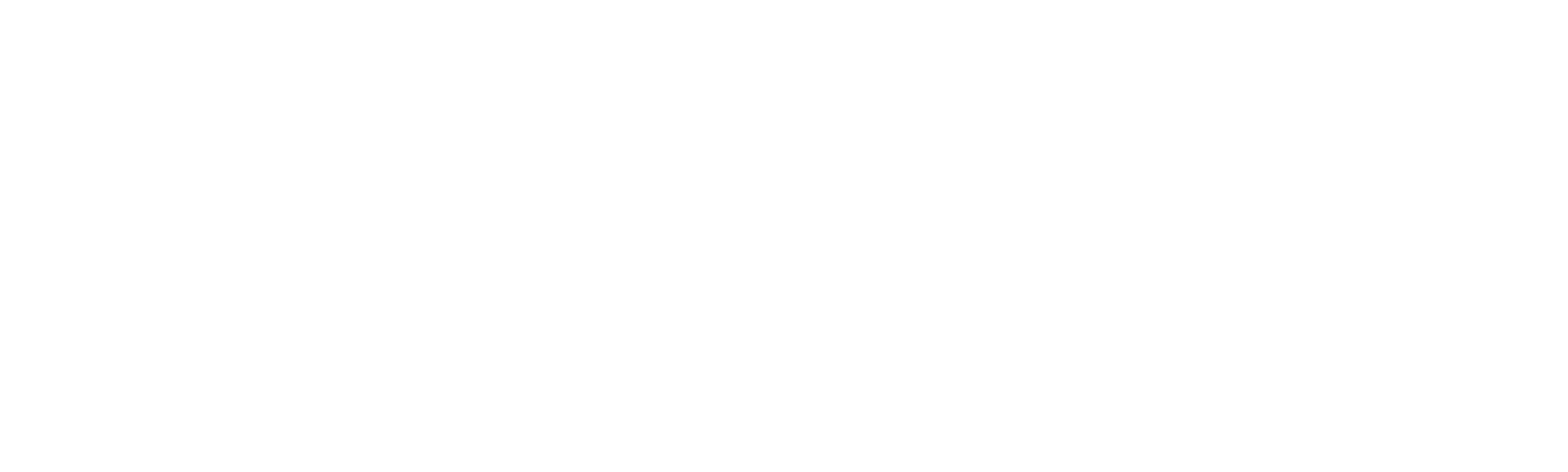 魔戒三部曲：王者再臨導演加長版