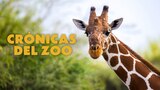 Cronicas Del Zoo