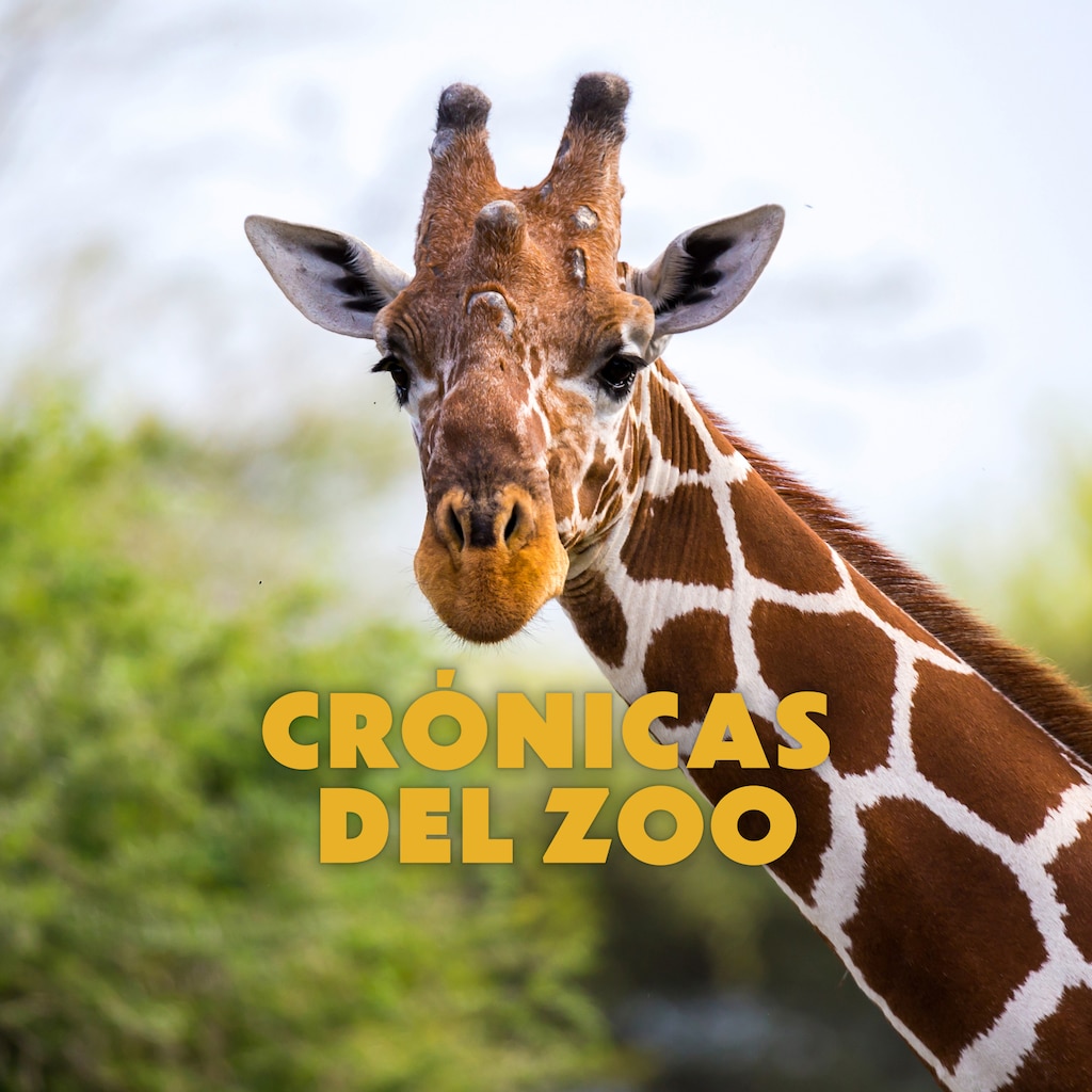 Cronicas Del Zoo