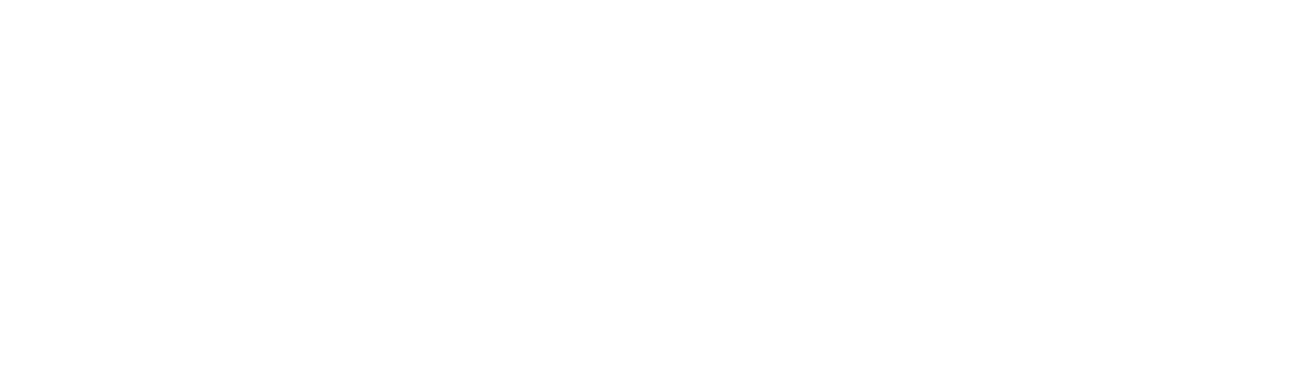 The Wizard Of Lies