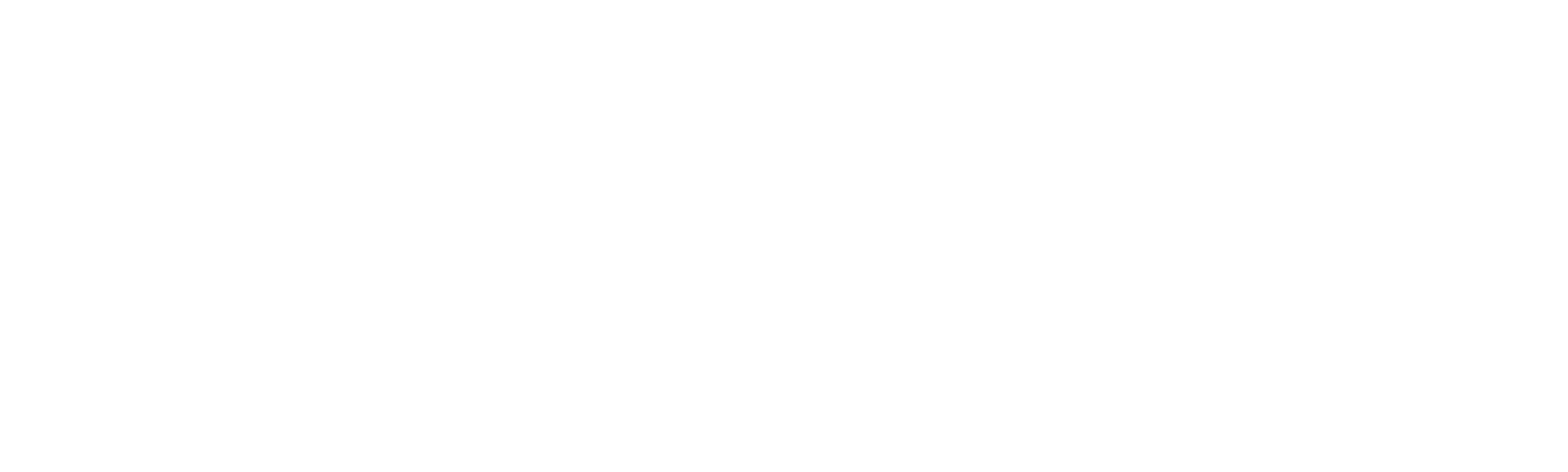 The Girl Who Leapt Through Time