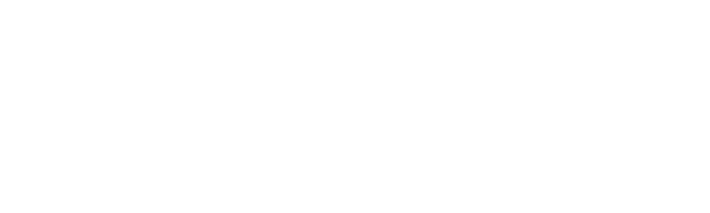 Exchange Student Zero