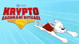 Krypto zachrání situaci