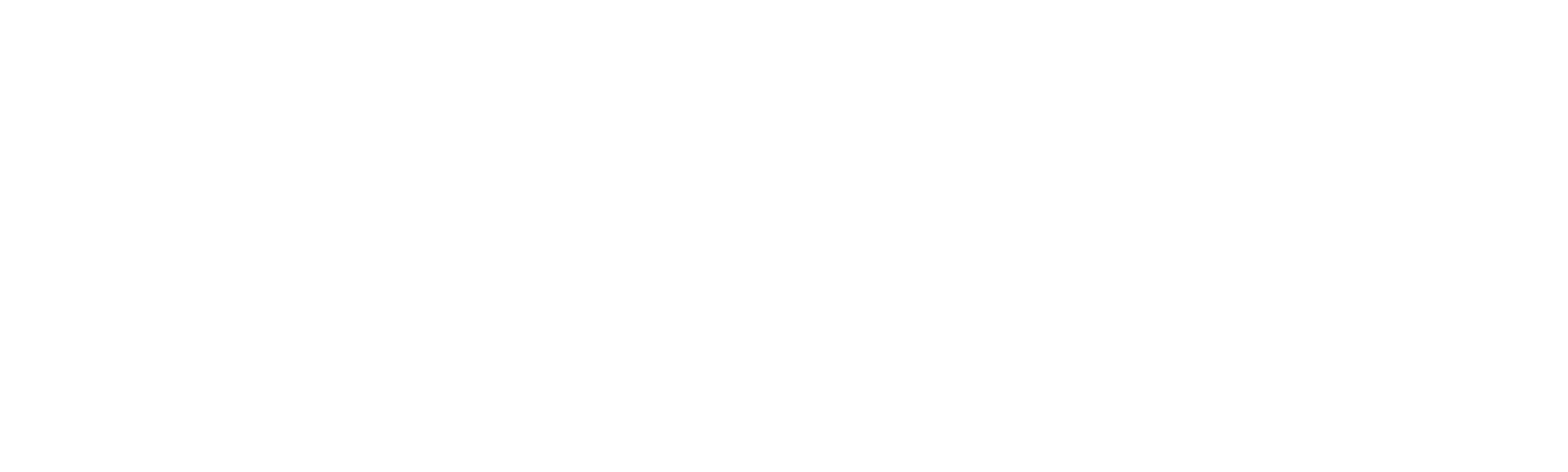 Cavaleiro Solitário