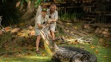 Crocodile Love Story