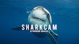 SharkCam Strikes Back