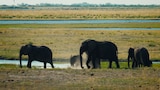 Rivers of Southern Africa / Singapore