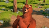 Big Top Bear