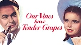 Our Vines Have Tender Grapes