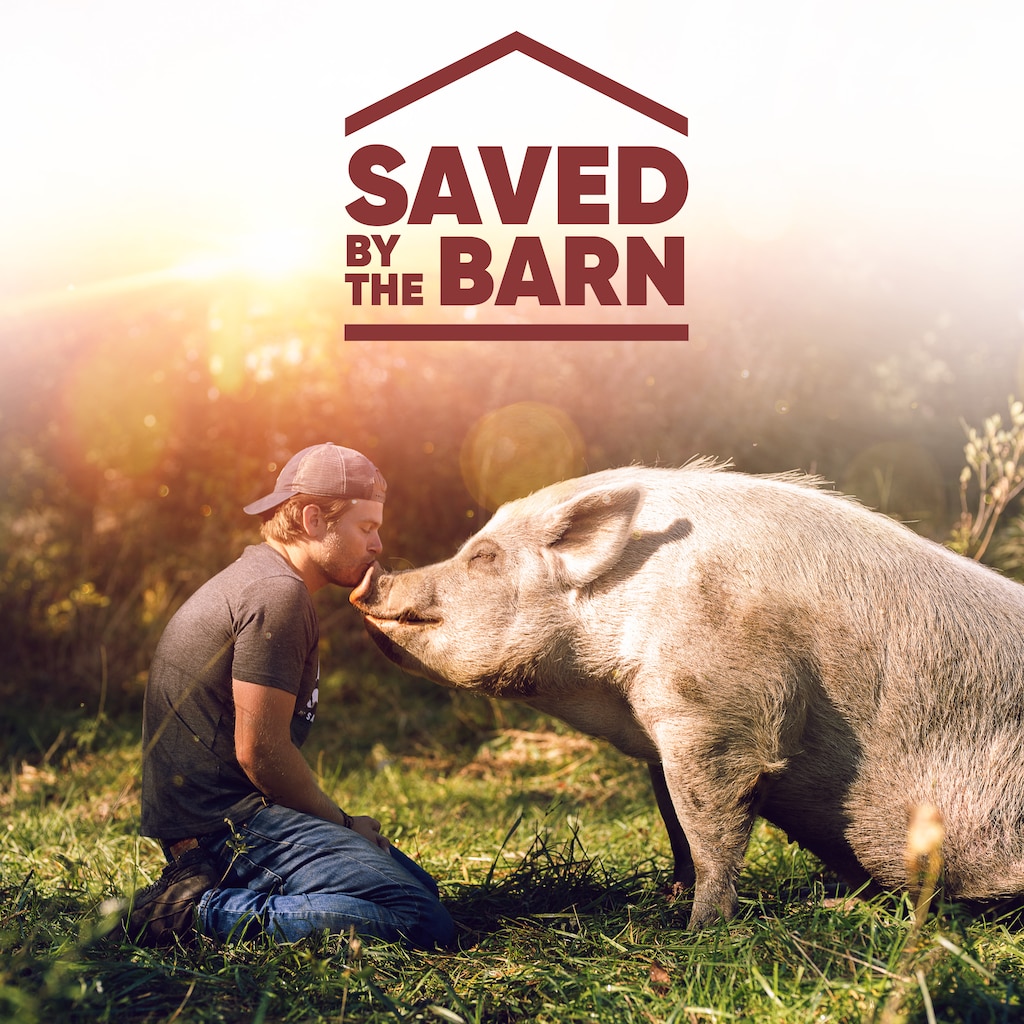 Saved By The Barn