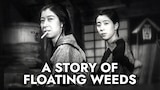 A Story of Floating Weeds