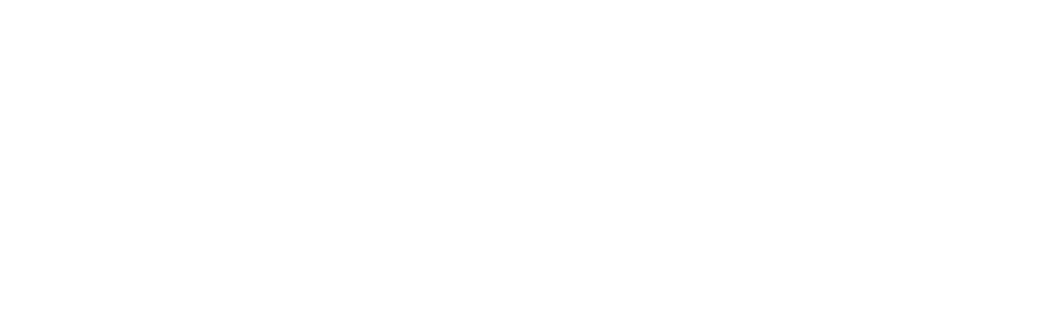 Konference ve Wannsee