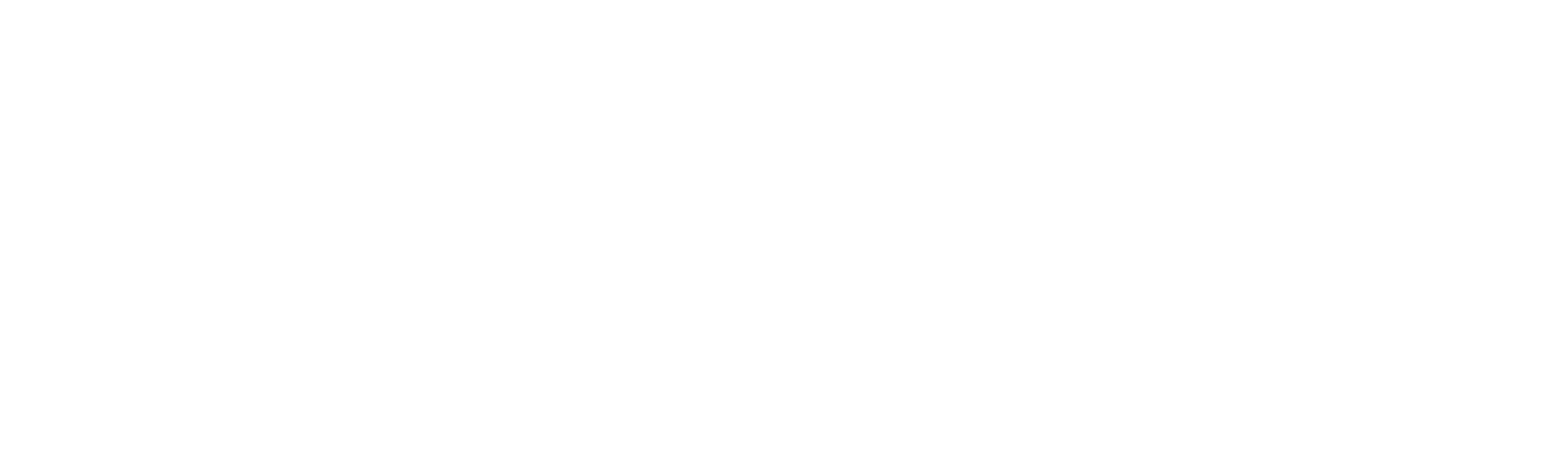 Objective, Burma!