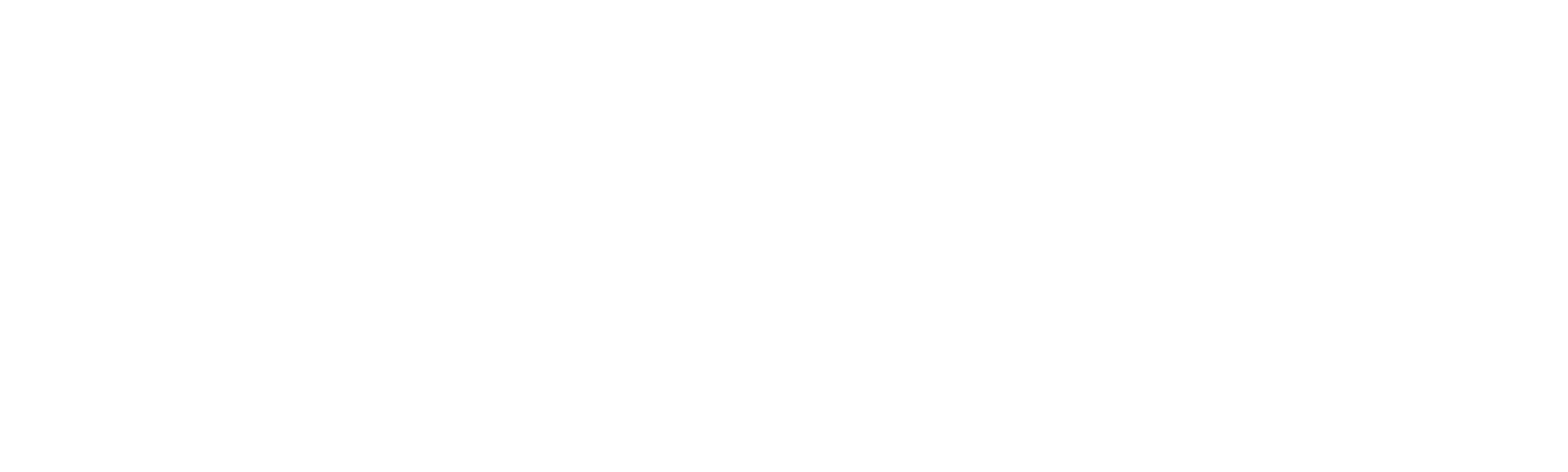 The Revenant