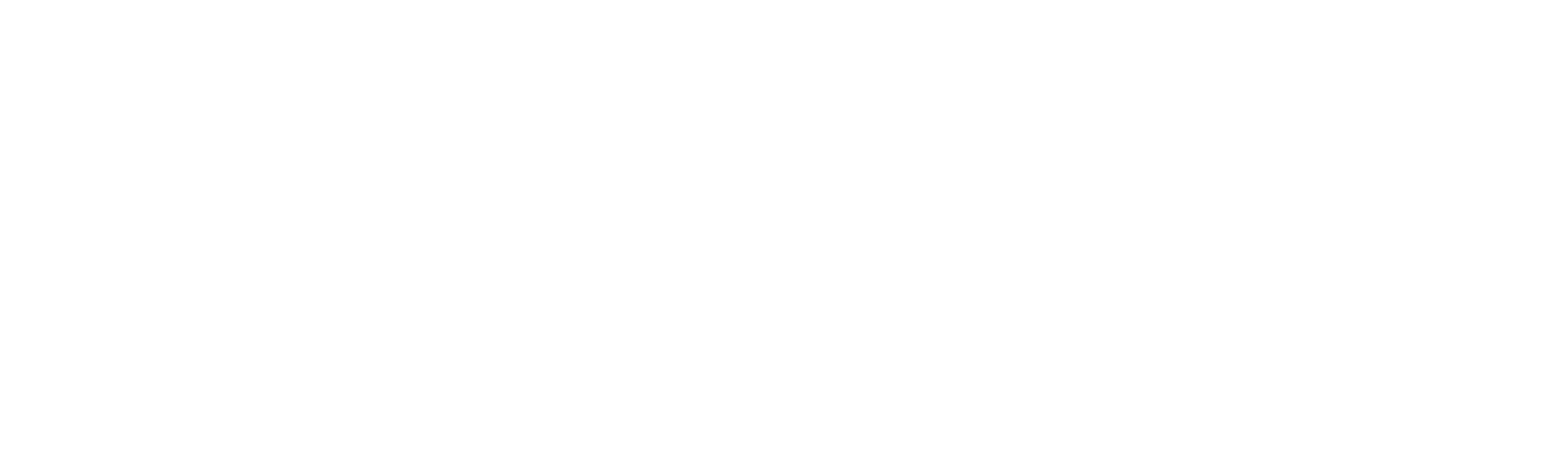 REVENANT Zmrtvýchvstání