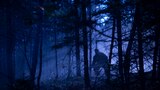 Bigfoot Island and Aliens of Kodiak