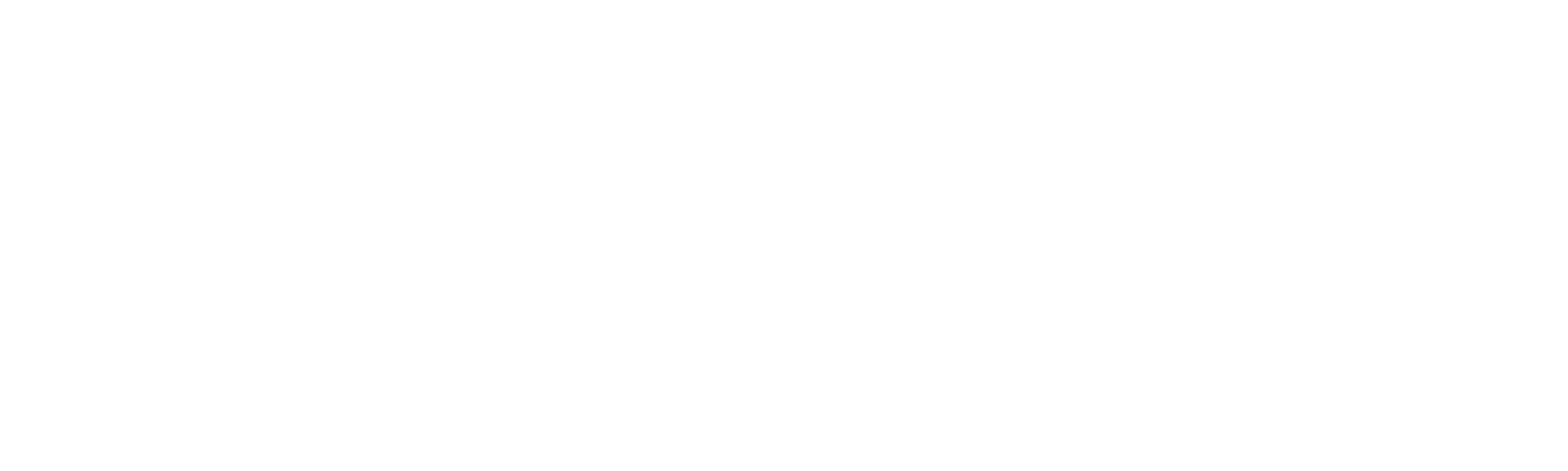 Hermano de Jorel: Shostners Show