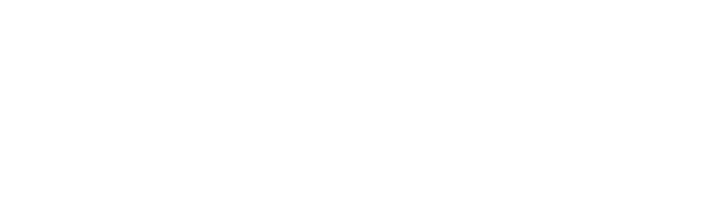 Irmão do Jorel: Shostners Show