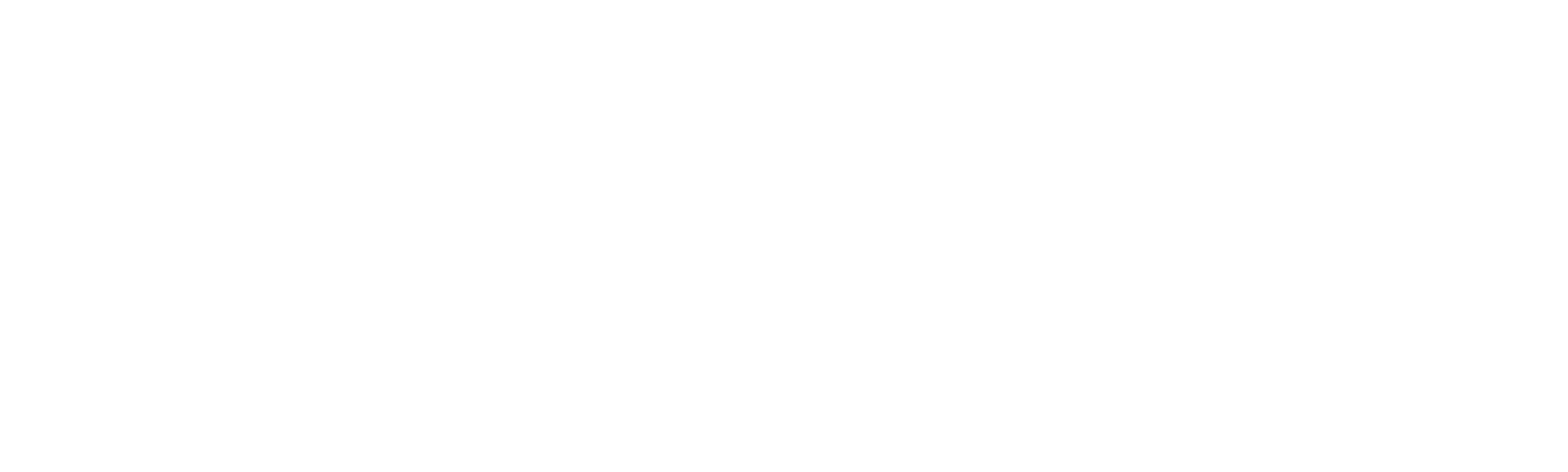 Irmão do Jorel: Shostners Show