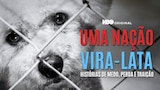 Uma Nação Vira-Lata: Histórias de Medo, Perda e Traição