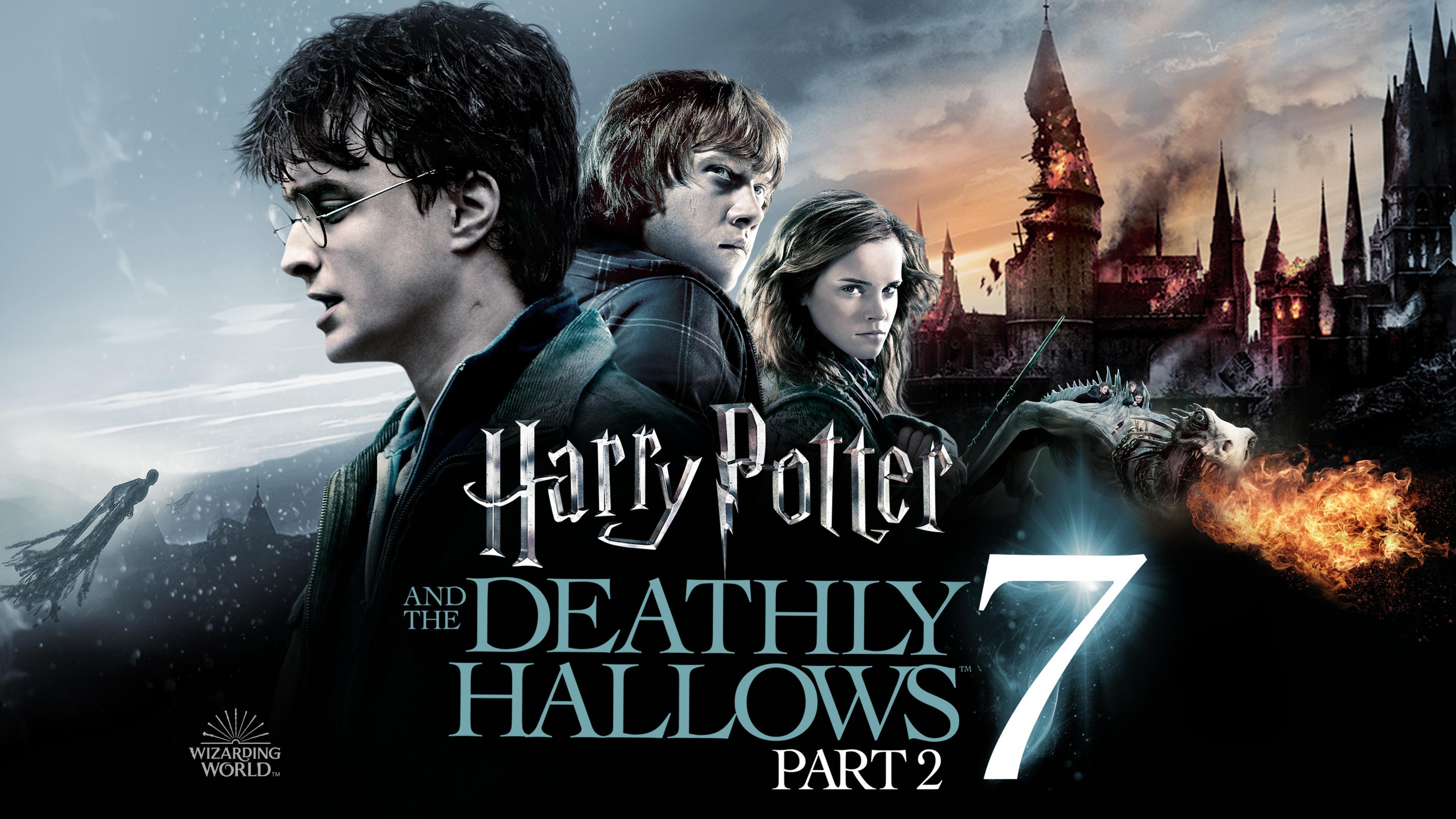 Harry Potter And The Deathly Hallows - Movie Poster (Hogwarts On Fire) (24  X 36)