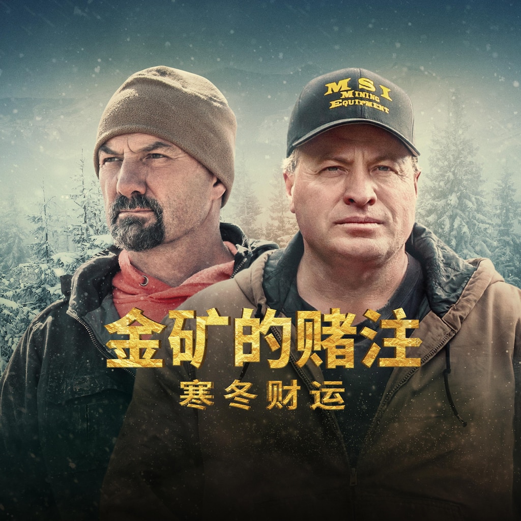 金矿的赌注:寒冬财运