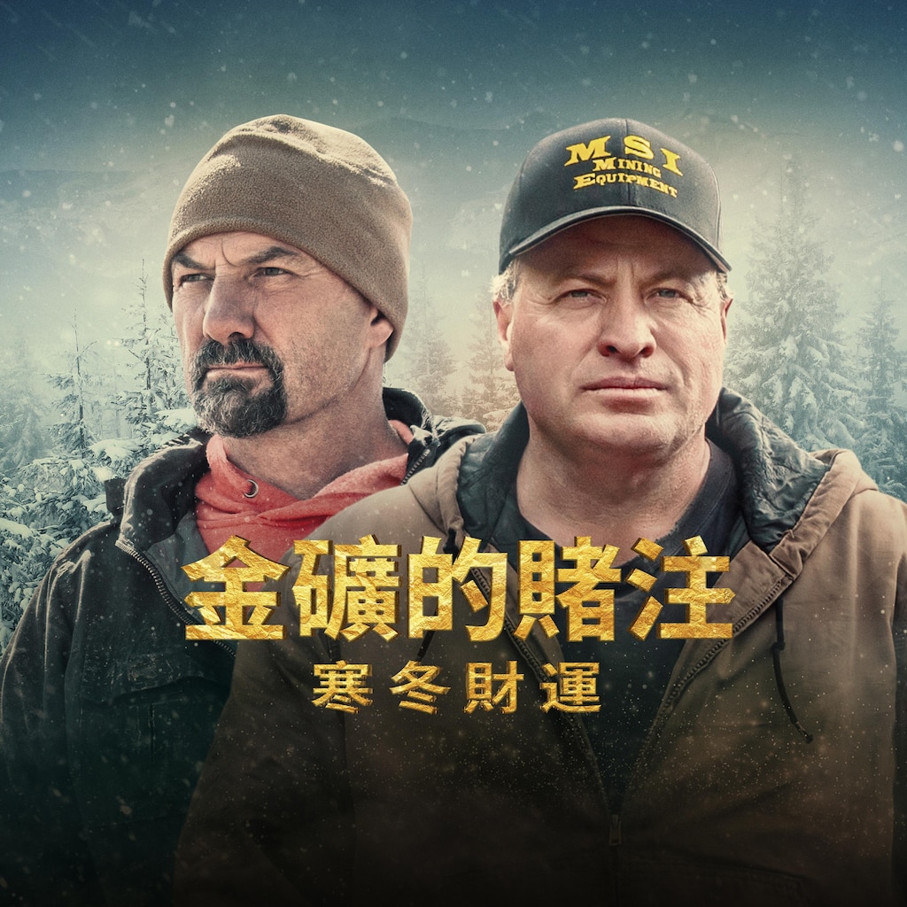 金矿的赌注:寒冬财运