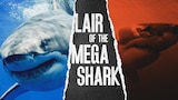 Lair of the Mega Shark