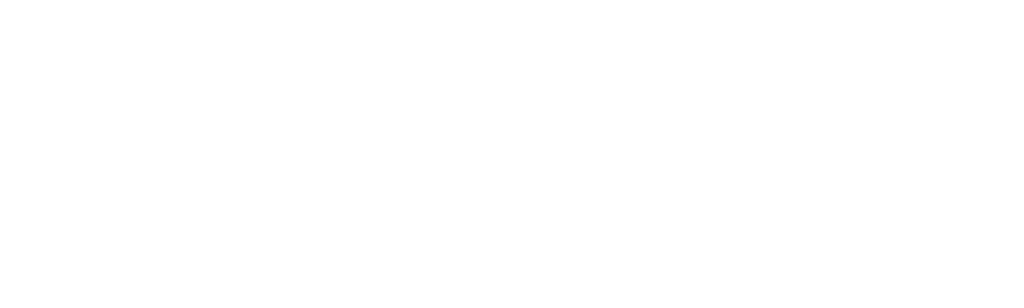 90 Day Journey: Emily & Sasha
