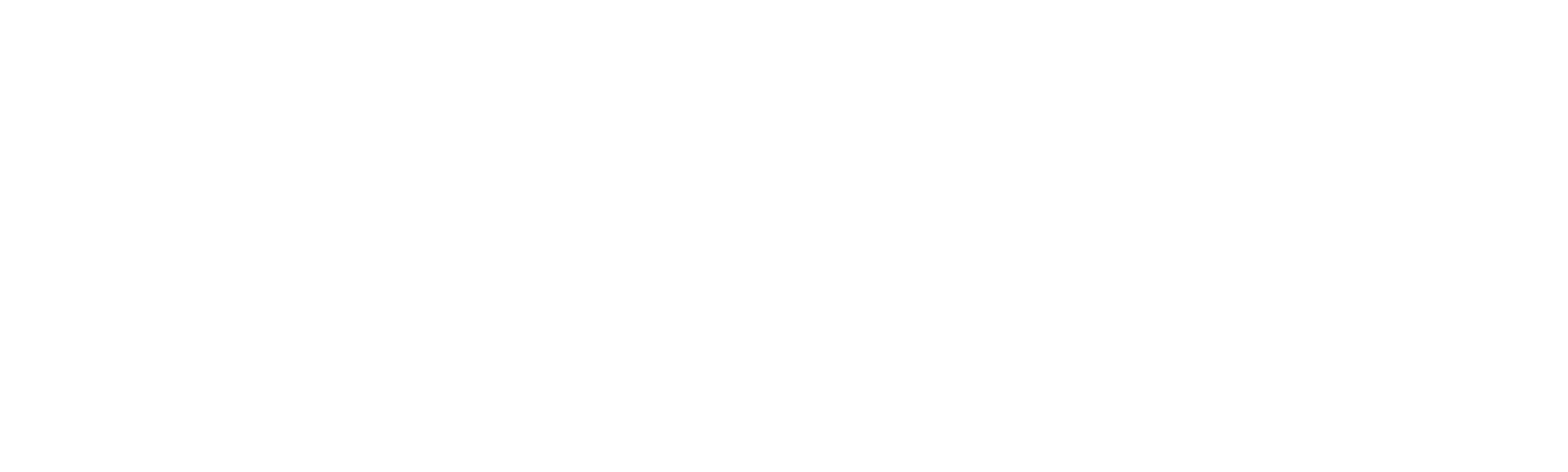 90 Day Journey: Emily & Sasha