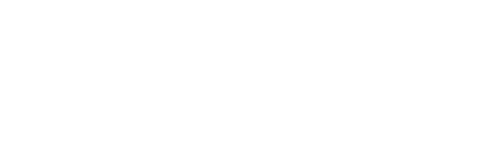 10 Finnish Con Artists