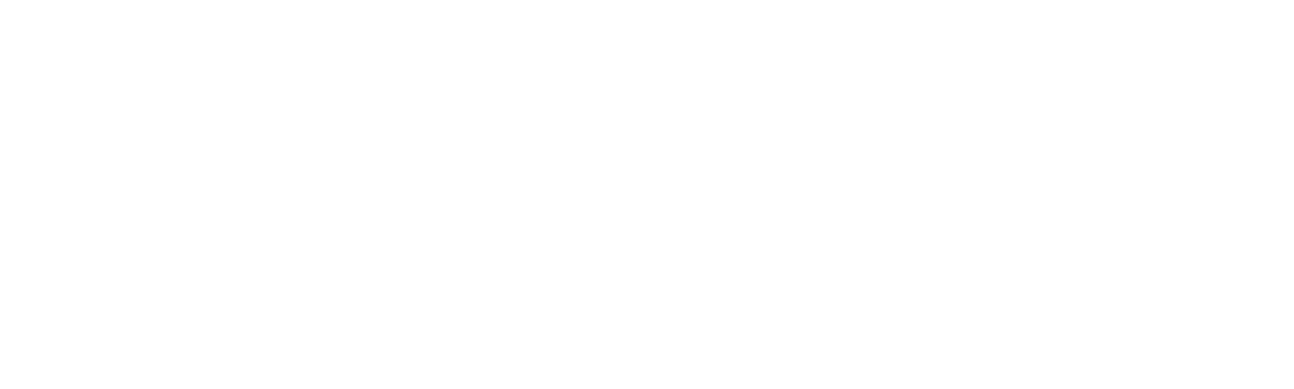 10 Finnish Con Artists