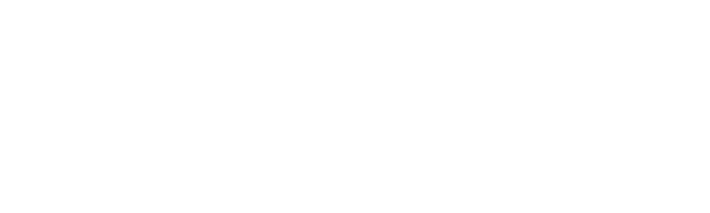 Wellington Paranormal