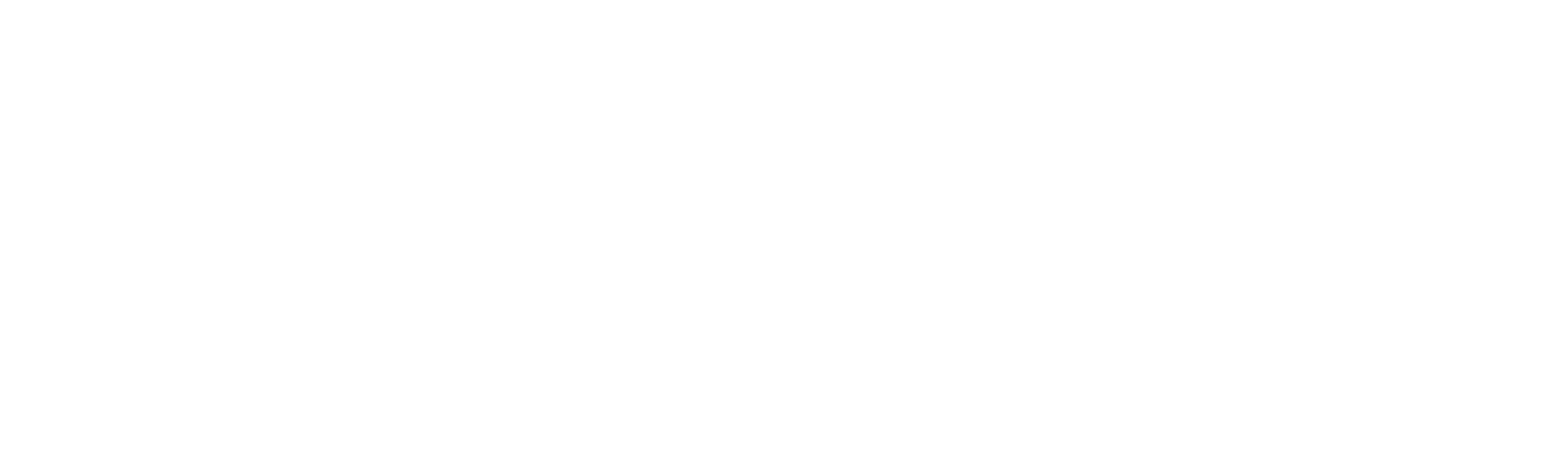 Presenting Princess Shaw