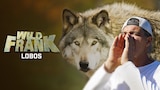 Wild Frank: Lobos