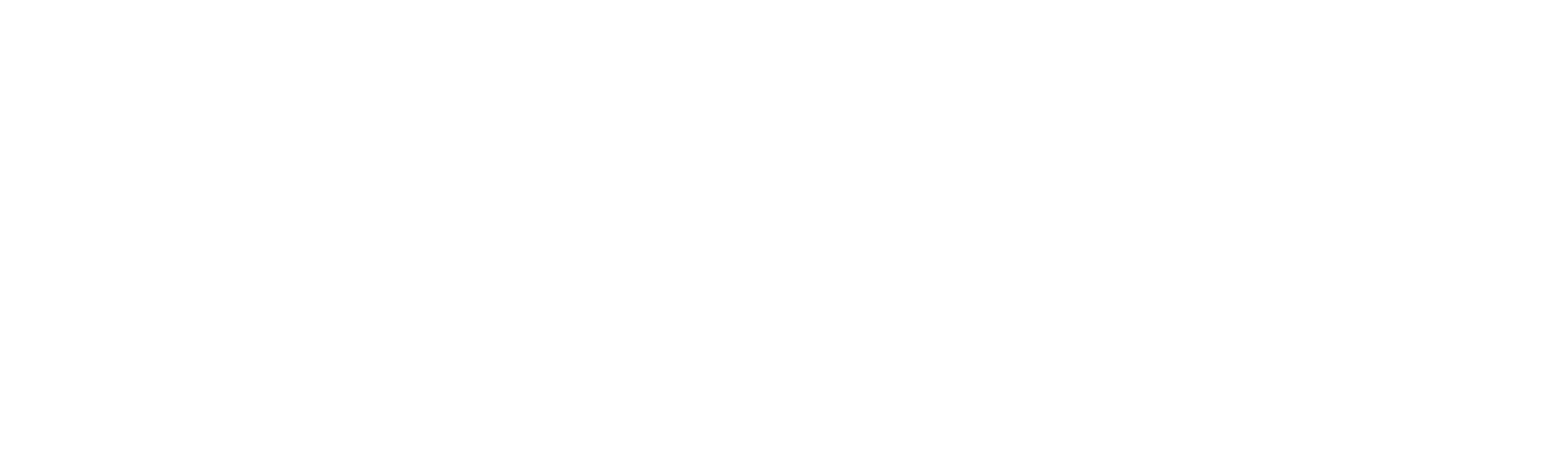 Sister Swap: Christmas in the City