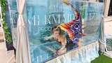Victorian Vibes and Mermaid Dives