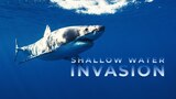 Shallow Water Invasion