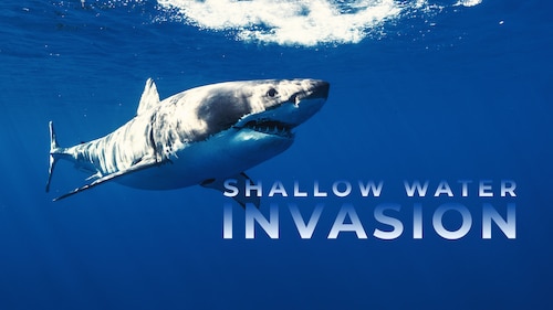 Watch Shallow Water Invasion | HBO Max