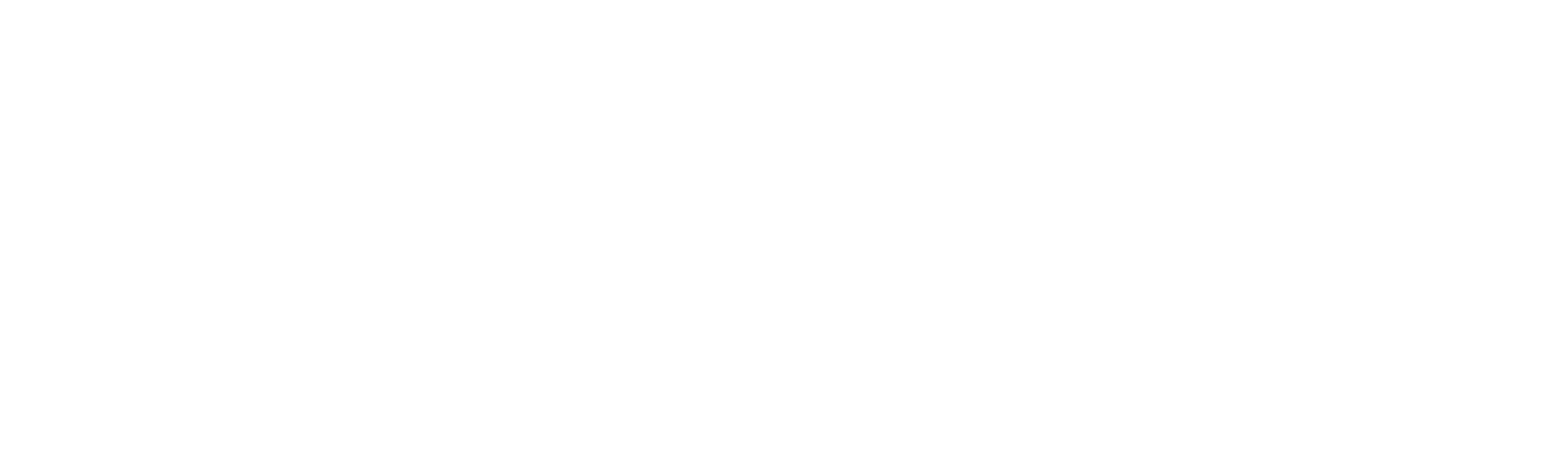 Nu aveți ce căuta în orașul nostru