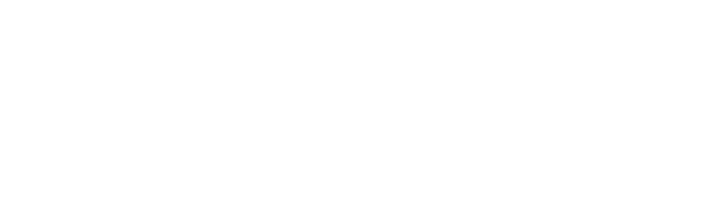 Space Shuttle Columbia: The Final Flight