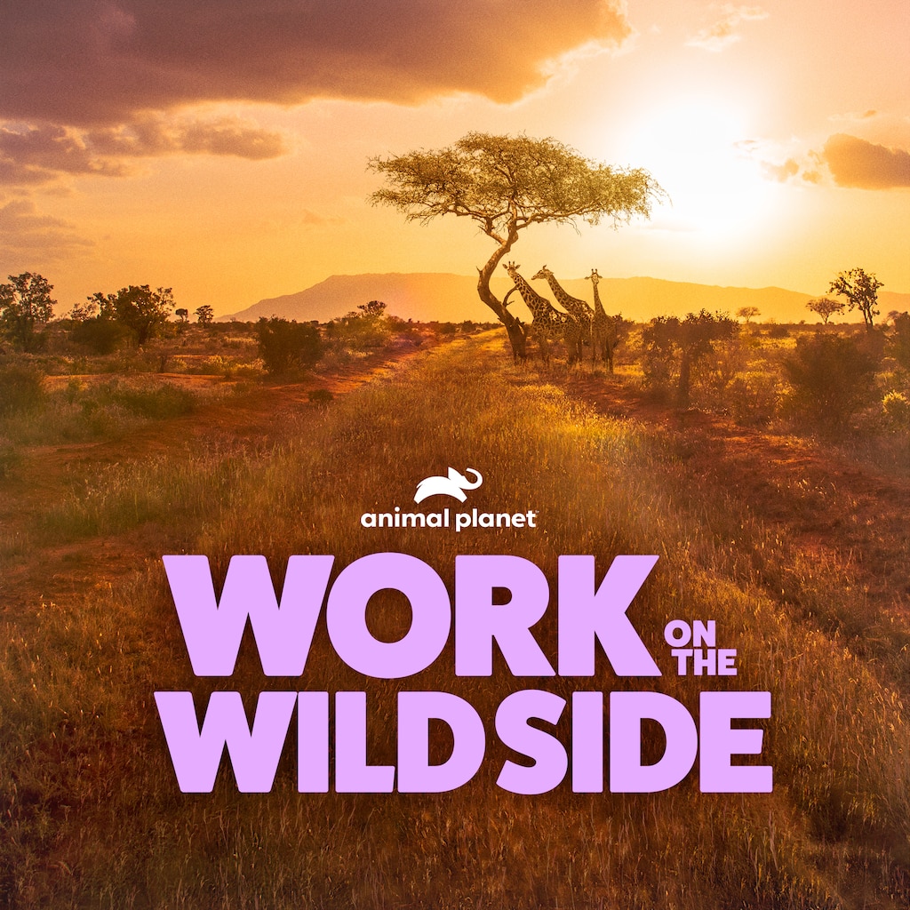 Work on the Wild Side