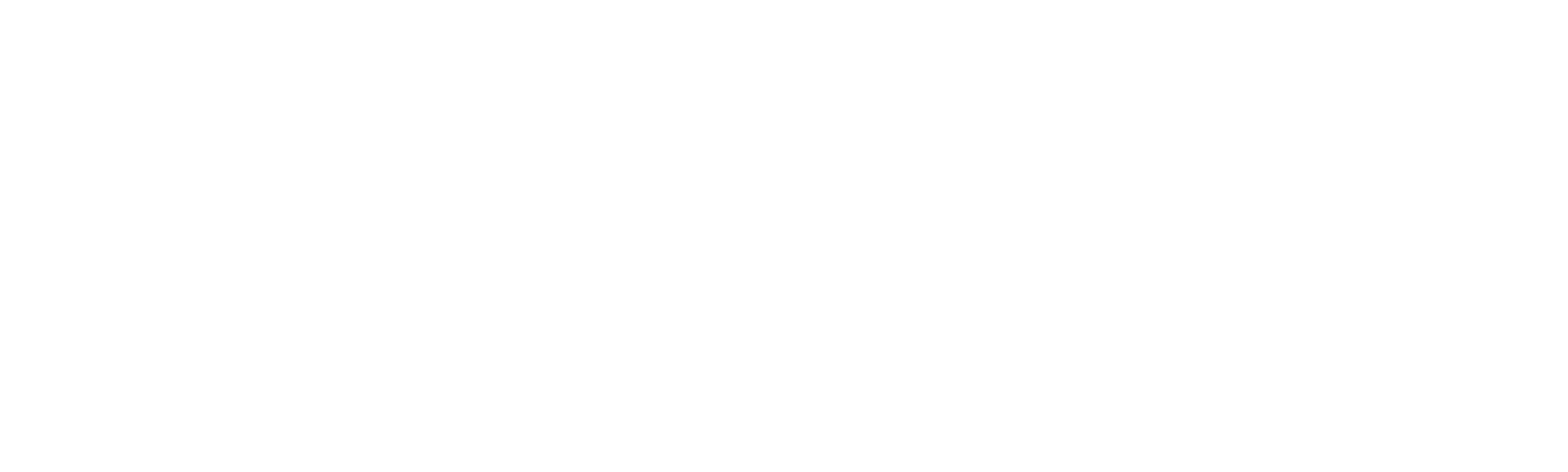 The Hunt for Salamander