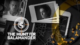 The Hunt for Salamander