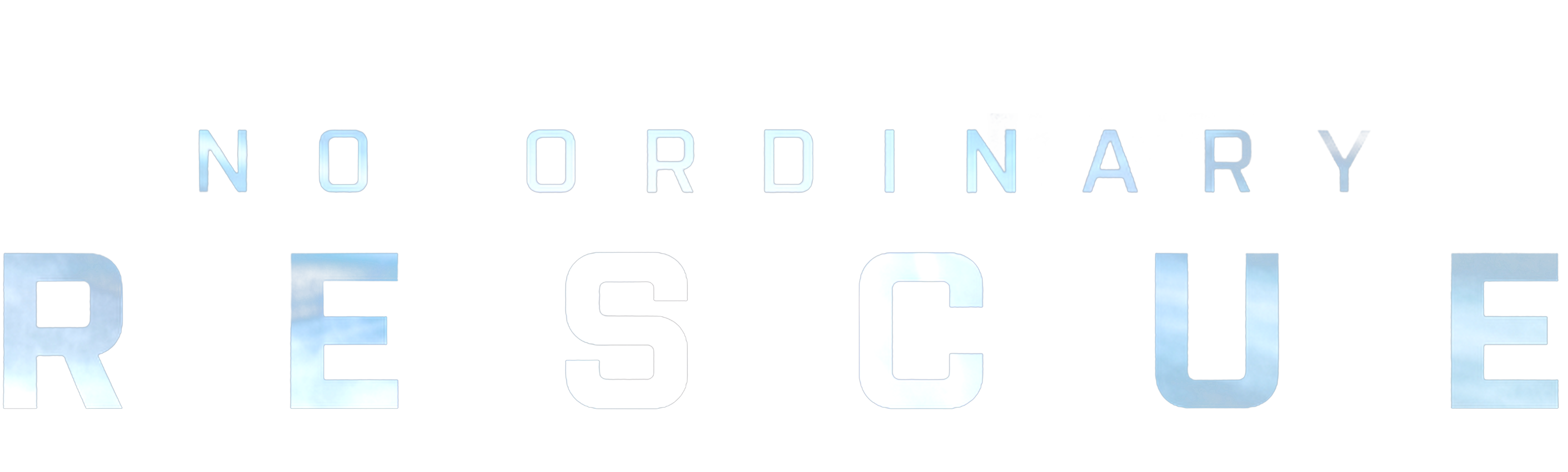 No Ordinary Rescue
