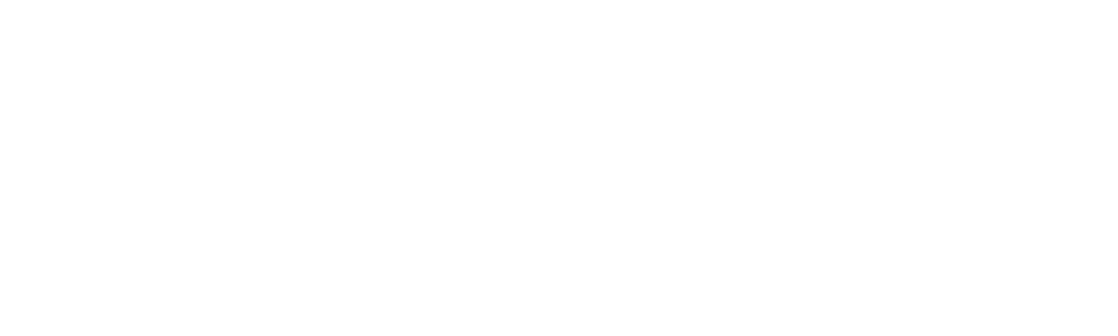 The Lobbyist